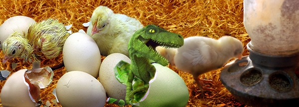 Creation of Newly Hatched Surprise: Step 12
